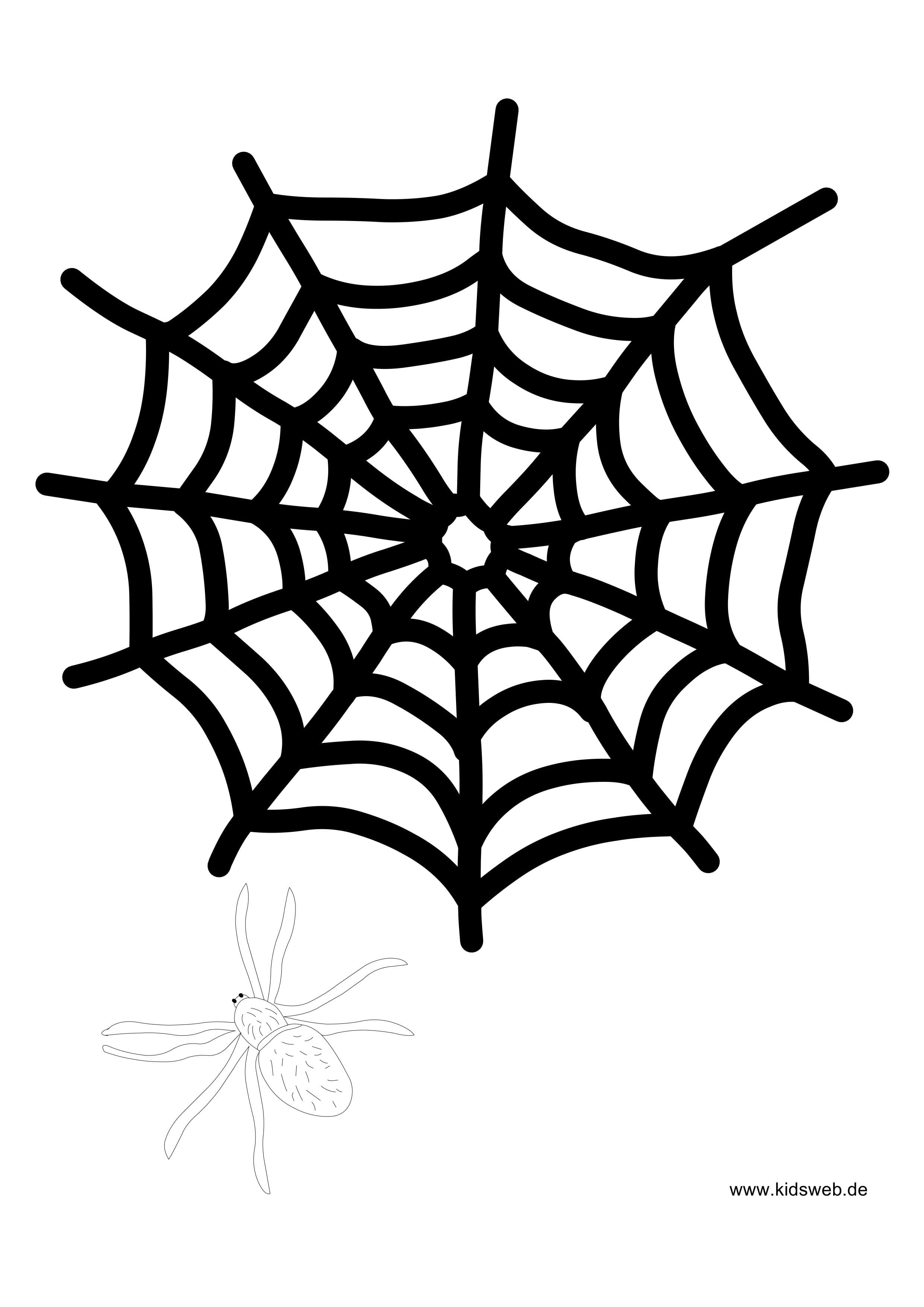 Artikelbild Scherenschnitt Spinnennetz mit Spinne basteln