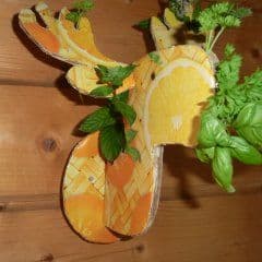 Artikelbild Wandelch als Kräuterhalter für die Küche basteln