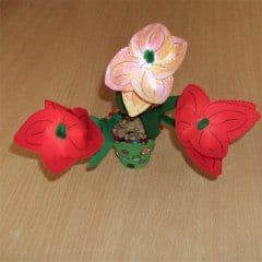 Frühlingsblüher